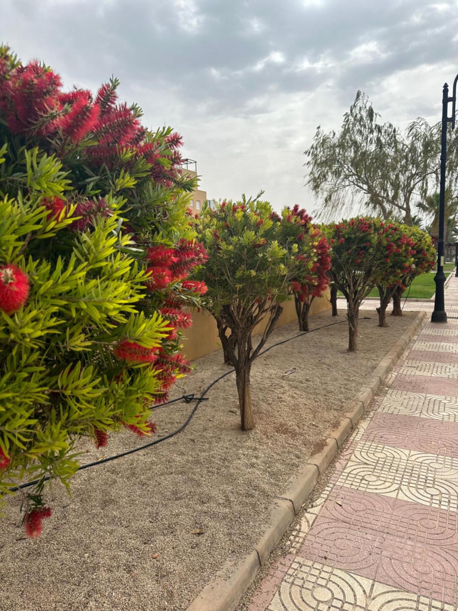 Apartmán Aguadulce Sol Y Playa- A/C Roquetas de Mar Exteriér fotografie